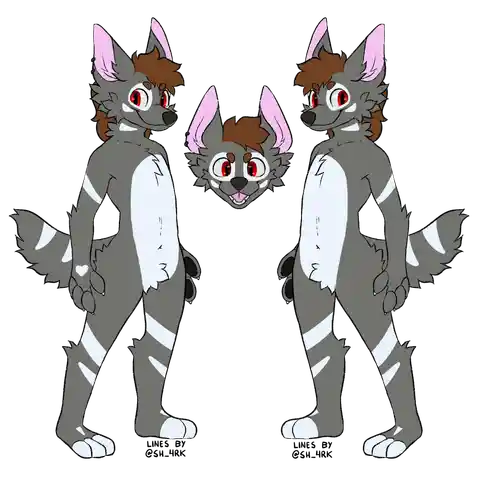 Darren Ref Sheet